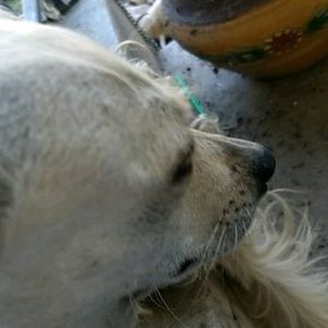 Meet your Posher, Fernando